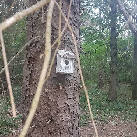 Le Refuge نامور